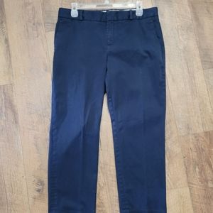 Banana Republic Navy Pants